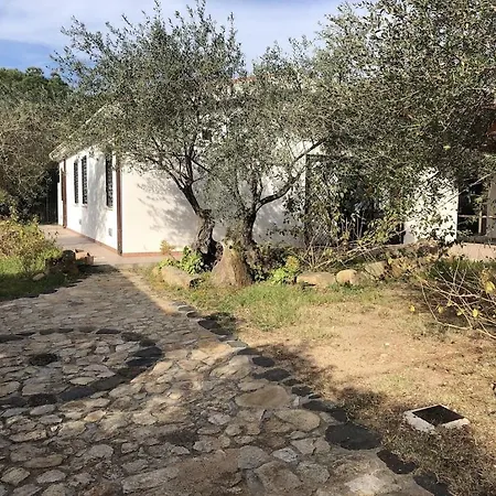 Paradiso, To The On Foot, Big Garden, Wifi, 4* カーラ・リベロット